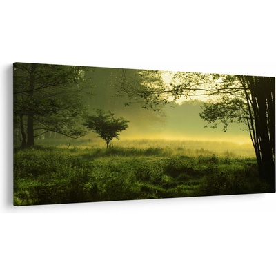 Obraz - Prebúdzajúci sa les, jednodielne 250x125 cm