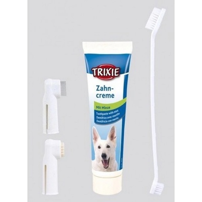 TRIXIE Sada dentální hygieny pro kočky pasta se sýrovou příchutí 50 g dva zubní kartáčky – Hledejceny.cz