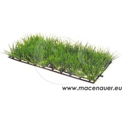 Hobby Plant Mat 1 12,5 x 25 cm koberec