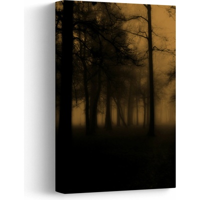 Obraz - Temný les, jednodielny 20x30 cm