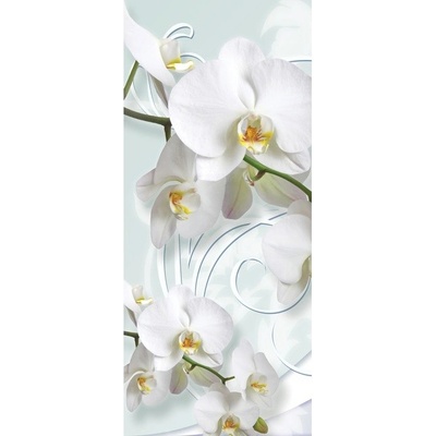 Preinterier Fototapeta - DV0305 - samolep. fólia - 91cm x 211cm