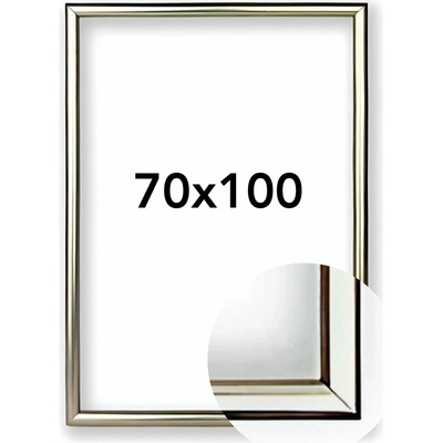 Fotorámeček BF Rozměr: 70 x 100 cm, Barva: Šampaň, Typ zasklení: Plexi