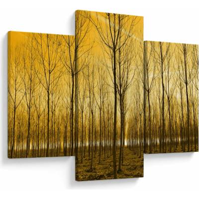 Obraz lesa pri západe slnka, trojdielne 90x60 cm