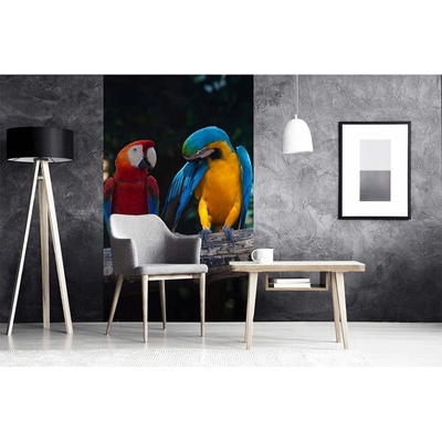 Dimex MS-2-0223 vliesová fototapeta na zeď Barevní papoušci Ara rozměry 150 x 250 cm