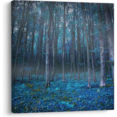 Obraz Magický les jednodielne 30 x 30 cm