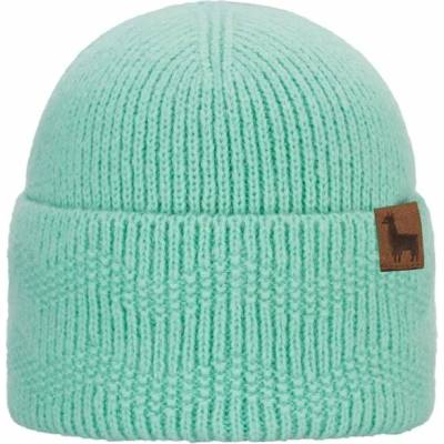 Čiapka P.A.C. Dalera Beanie Mint
