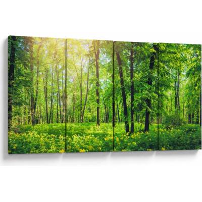 Obraz - Jarný listnatý les, štvordielne 160x80 cm