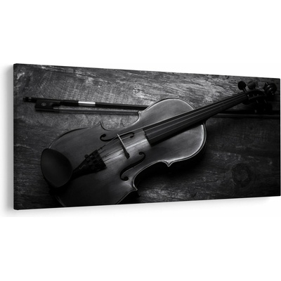 Obraz - Viola, jednodielne 250x125 cm
