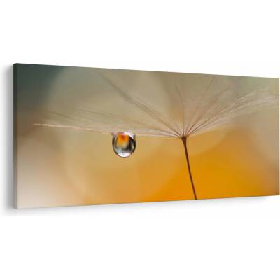 Obraz - Makro kvetu, jednodielne 250x125 cm