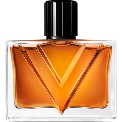 Valentino Vendetta Uomo parfémovaná voda pánská 90 ml