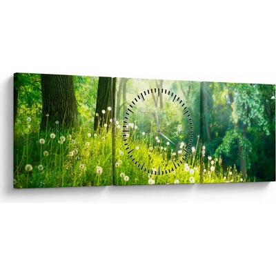 Obraz - Magická lúka plná púpav (s hodinami), trojdielne 90x30 cm s hodinami