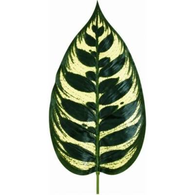 Umelý list Calathea 47 cm