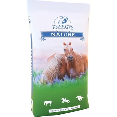 ENERGYS Cukrovarské řízky bez melasy sypké 20 kg – Hledejceny.cz