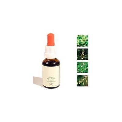 Bachovy kapky Ochota učit se 25 ml