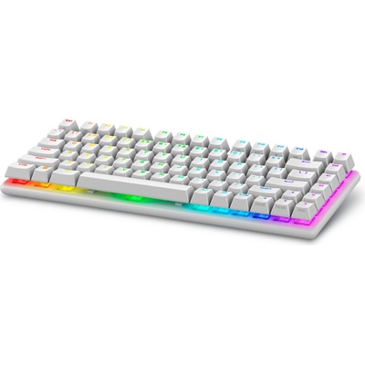 Dell Alienware Pro Wireless Gaming Keyboard 545-BBFR
