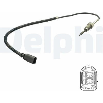 DELPHI TS30172