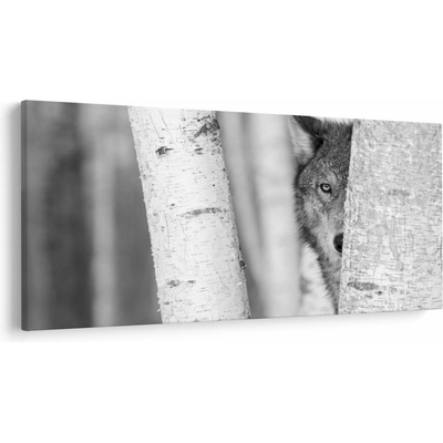 Obraz - Vlk v lese, jednodielne 250x125 cm