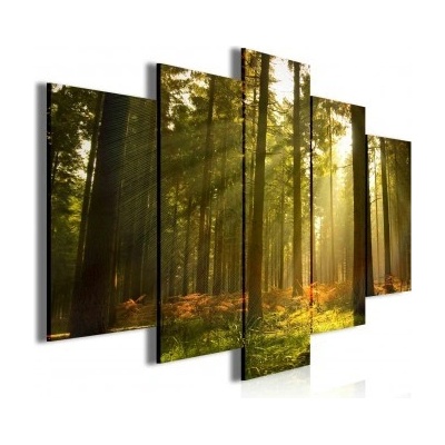 Obraz na plátne viacdielny - OB3514 - Les 100cm x 60cm - S17
