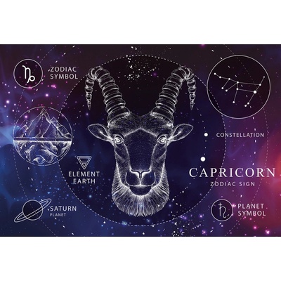 Interdruk Zodiac Kozoroh 250 250 dílků