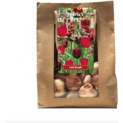 Směs cibulovin Color Your Garden Red Blush 25 ks
