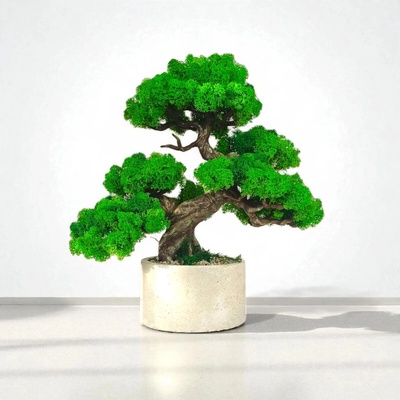 Machový bonsai, Realistický bonsai 25 cm. pre interiér