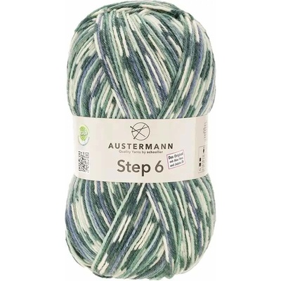 Austermann Step 6 Color 786 Asche