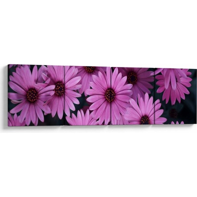 Obraz růžových květů, Čtyřdílný 160x40 cm