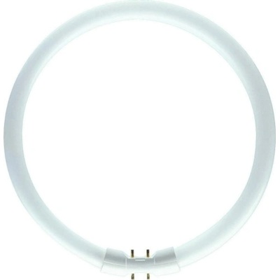 Philips kruhová zářivka Master TL5 Circular 60 W/840 T5 4000K 2GX13