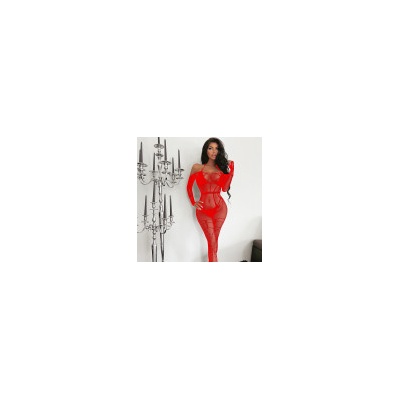 Bdsm-Bodage-Shop Síťovaný bodystocking s otvorem v rozkroku Červená W637