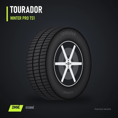 Tourador Winter PRO TS1 195/60 R15 88H