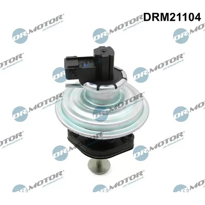 Dr.Motor Automotive AGR ventil DMA DRM21104