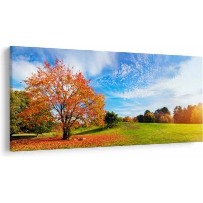 Obraz - Jesenná krajina, jednodielne 250x125 cm