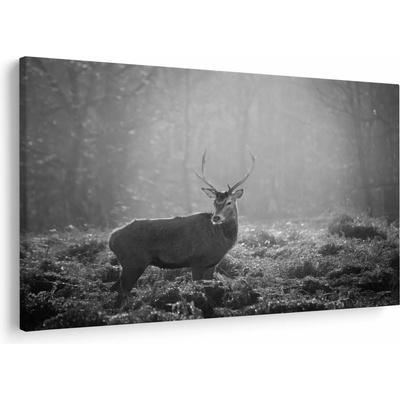 Obraz - Jeleň v lese, čiernobiela, jednodielne 150x100 cm