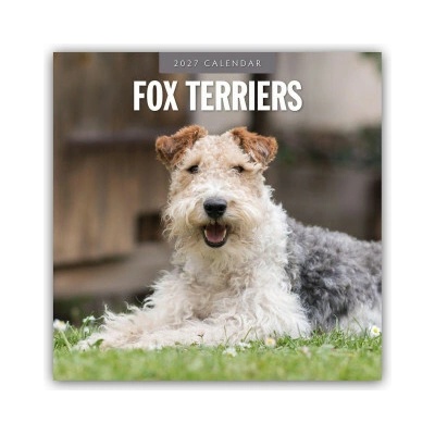 Fox Terriers Foxterrier 16-Monats Red Robin Publishing Ltd 2027