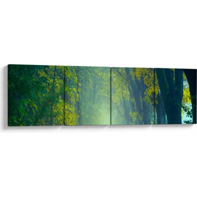 Obraz cesty lemovanej stromami, štvordielne 160x40 cm