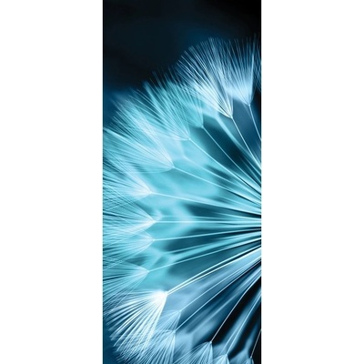 Preinterier DV0126 Fototapeta na stenu Modrá púpavá vlies 91cm x 211cm