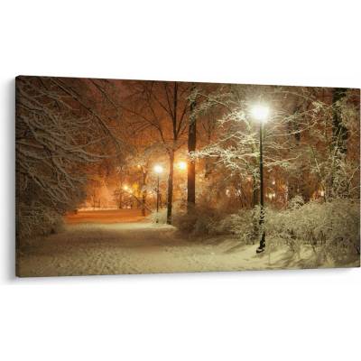 Obraz - Zasnežený park, jednodielne 120x70 cm