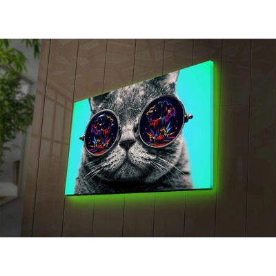 ASIR Nástěnný obraz s LED osvětlením CAT
