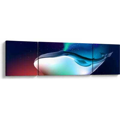 Obraz - Vesmírná velryba, třídílný 170x50 cm