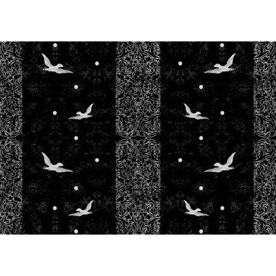 Preinterier FT3869 Fototapeta na stenu Vtáky – čierne vlies 104cm x 70cm