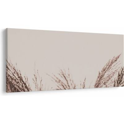 Obraz - Sušená tráva, jednodielne 250x125 cm