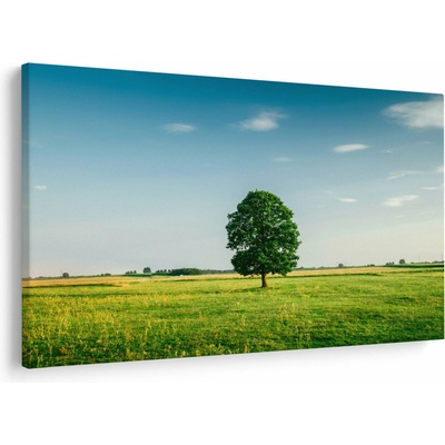Obraz stromu uprostred lúky, jednodielne 120x80 cm