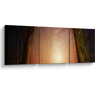 Obraz podzimního lesa v mlze, třídílný 150x50 cm