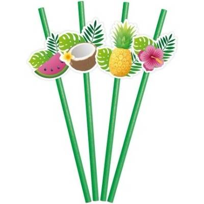 Globos Europe Papírová brčka Tropical Fruit Aloha 19,7 cm 6 ks