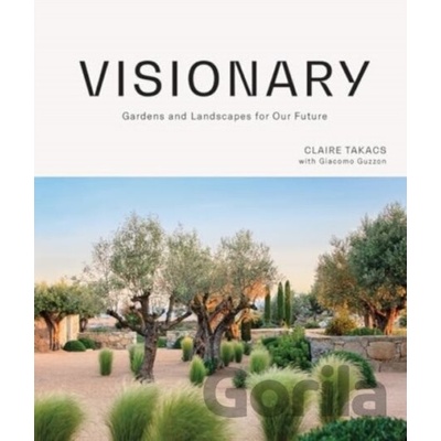 Visionary - Claire Takacs