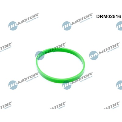 DR.MOTOR AUTOMOTIVE Tesnenie kolena sac. potrubia DRM02516