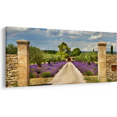 Obraz - Levanduľové cesty, jednodielne 250x125 cm