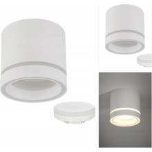 TK Lighting 4334