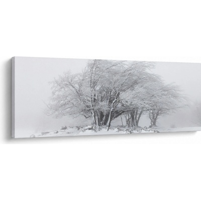 Obraz - Biela zima, jednodielne 145x58 cm