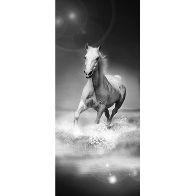 Preinterier DV0187 Fototapeta na stenu čiernobiely kôň vlies 91cm x 211cm